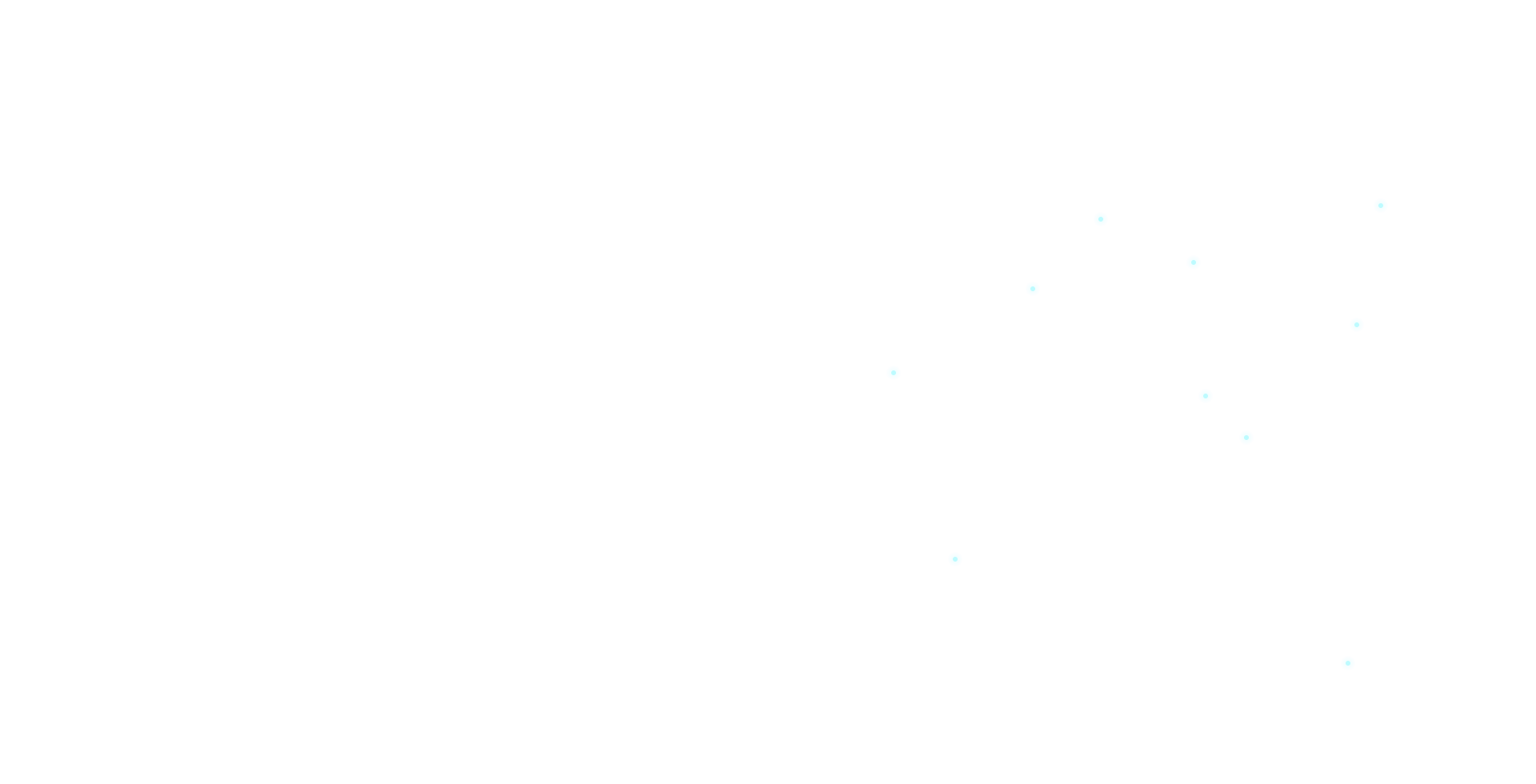 生洋網路股份有限公司
